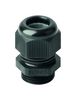 JACOB 50021M25PASW-F