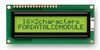 FORDATA FC1602N01-FHYYBW-51SK