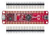 MICROCHIP DM320119