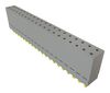 SAMTEC ESW-120-12-G-D