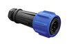 BULGIN LIMITED PX0911/10/P