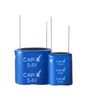 CAP-XX GY12R76C012V804R