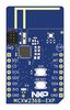 NXP MCXW236B-EXP