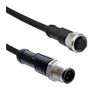 AMPHENOL LTW M12A05ML-12AFL-SD002.