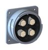 BULGIN LIMITED PXP9012/04/S.