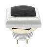 E-SWITCH RP8400B2M1CENICBLKNIL.