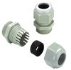 WEIDMULLER 1569020000