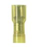 PANDUIT DNF10-250FI-L