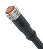 LUTRONIC 0800 04 301 2M