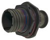 FILCONN FCIBD38999/24WA35PN