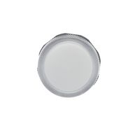 ABB 1SFA619403R5238 发光二极管指示器 面板安装, 透明, 230 VAC, 22.3 mm, 17 mA, IP66, IP67, IP69K, NEMA 1, 3R, 4, 4X, 12, 13