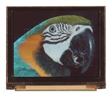 MIDAS DISPLAYS MDOG160128B1Y-RGBM