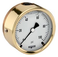 NOSHOK 25-310-300-PSI