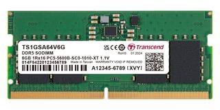 TRANSCEND TS1GSA64V6G RAM存储模块, 8 GB, PC5-44800, DDR5 SO-DIMM, 桌面DIMM, 1G x 16位