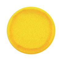 SCHMERSAL 103052434
