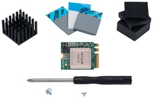 HAILO TECHNOLOGIES LTD HM218B1C2YAE Hailo 8 AI 入门套件，M.2 Key A+E 2230，PCIe Gen3x2，2.5W，26 TOPS，-40 °C 至 85 °C