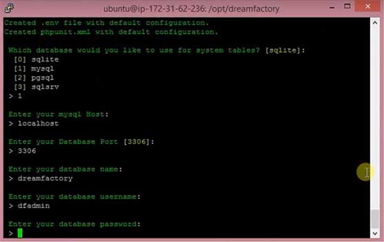 Configure the dreamfactory