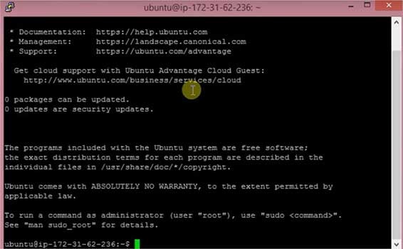 AWS server via SSH